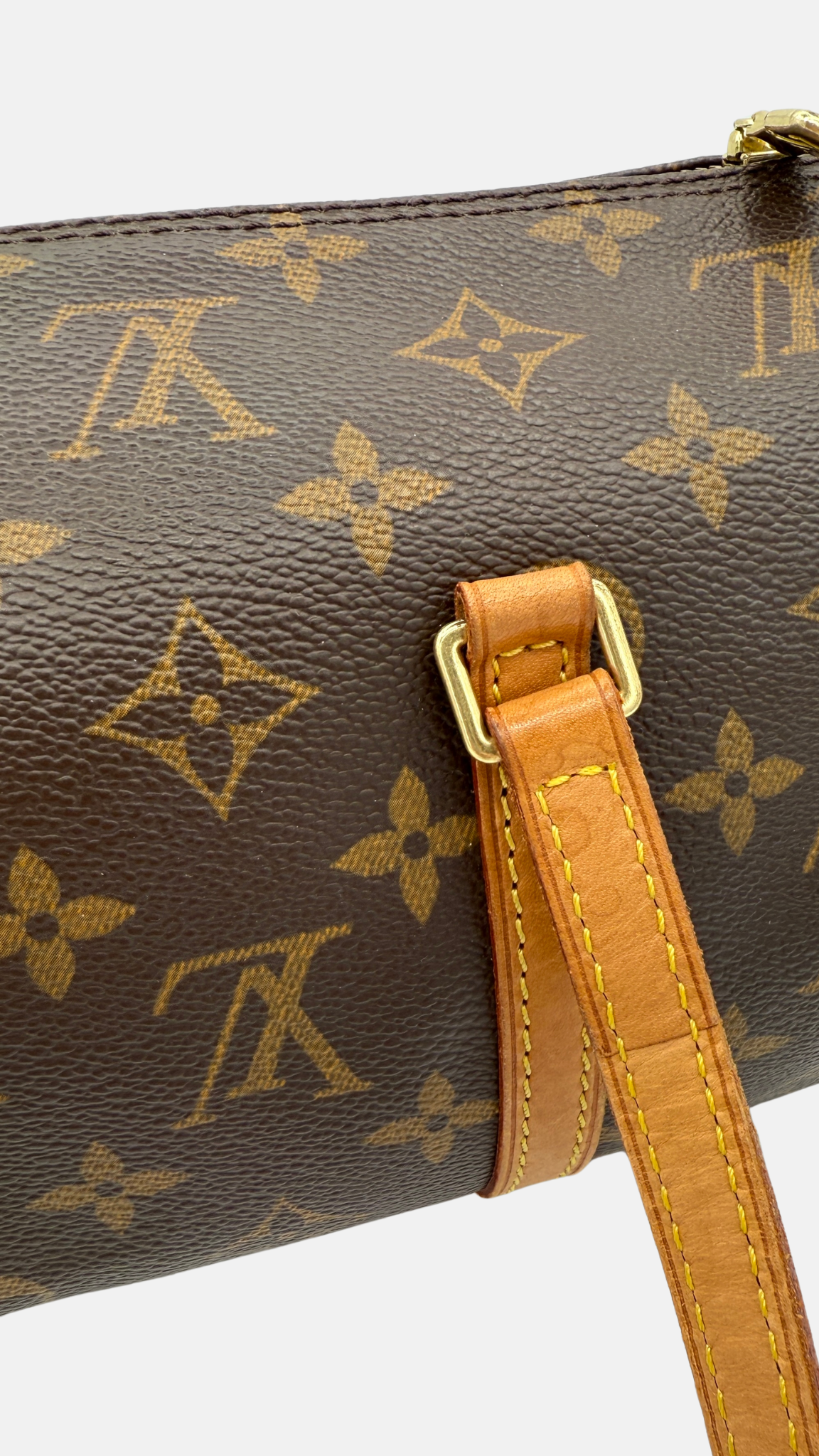 LOUIS VUITTON PAPILLON 30